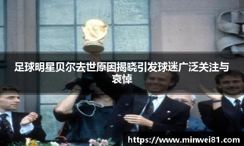 足球明星贝尔去世原因揭晓引发球迷广泛关注与哀悼